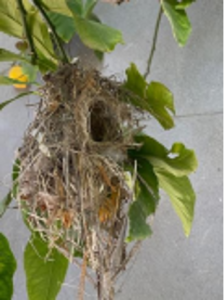 גיליון מס. 4 - ינואר 2026